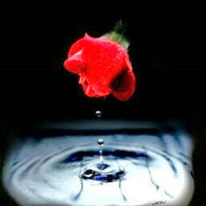 Meet your Posher, Vava